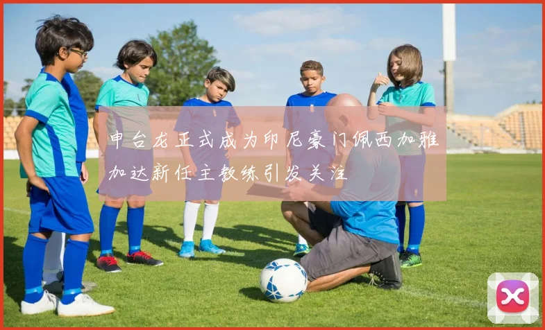 申台龙正式成为印尼豪门佩西加雅加达新任主教练引发关注