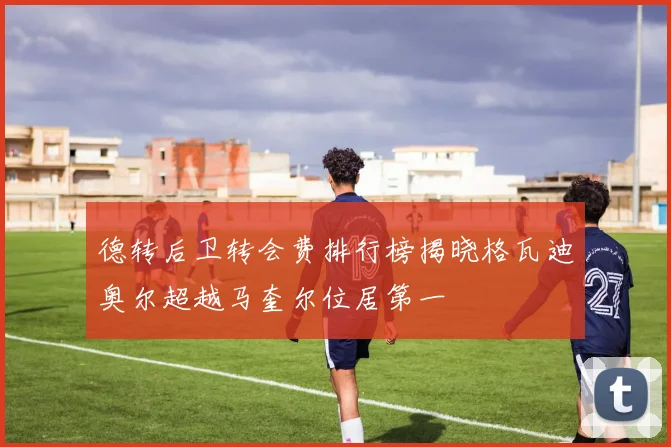 德转后卫转会费排行榜揭晓格瓦迪奥尔超越马奎尔位居第一