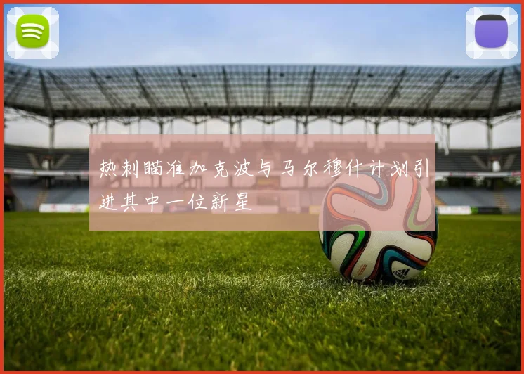 热刺瞄准加克波与马尔穆什计划引进其中一位新星